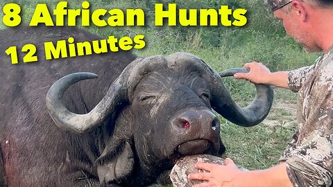 8 African Rifle Hunts in 12 Min | HUNT Cape Buffalo Eland Kudu Nyala Giraffe Gemsbok Zebra Impala