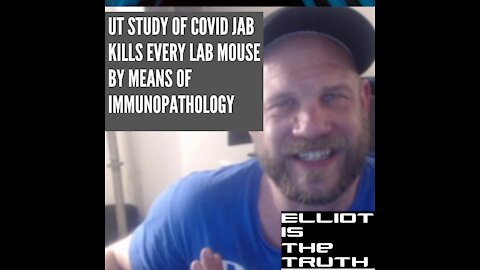 Every Rat Dies of 'immunopathology' in Prestigious UT Covid19 Vaccine Safety Study