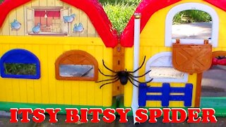 Itsy Bitsy Spider Song and Toys for Kids
