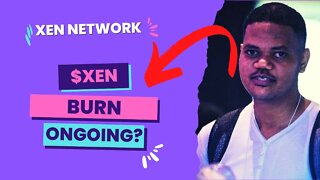 Who Is Burning $XEN. Will Dapps Build On Xen?