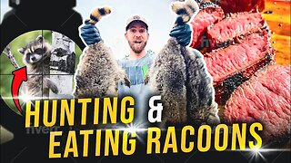 Hunting And Eating Raccoon! Catch Clean Cook