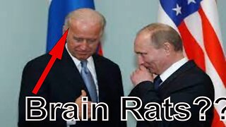 Bidens He`s Got a Case of BRAIN RATS..