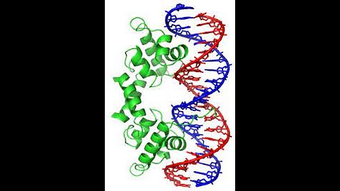 GENESIS = GENETICS, 144K = GODS CREATION DNA SEQUENCING = I AM THE OMEGA & THE ALPHPA - THE KINGDOM OF HEAVEN CAN ONLY BE ENTERED THROUGH THE BLOOD OF SOPHIA MOTHER MARYS WOMB & THE BLOOD OF HER ONLY BEGOTTEN SON JESUS!