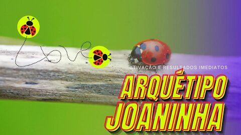 Joaninha- Arquétipo Extremamente poderoso | Resultados imediatos