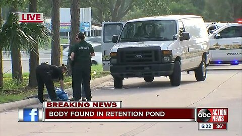 Decomposed body found in pond behind Pinellas County Winn Dixie, deputies investigating