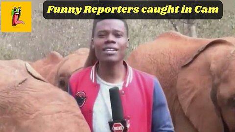 Funny Reporters Caught in Cam🤣🤣