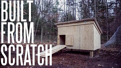 The Entire Duck House From Start To Finish! (In 10 Minutes)