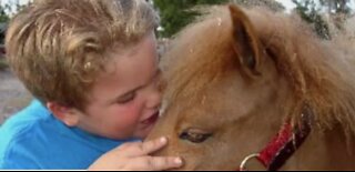 Mom uses pony therapy to help others