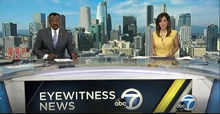 Susan Swift Stands Up for the Unborn on ABC 7