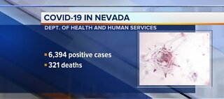 Nevada COVID-19 update for May 13