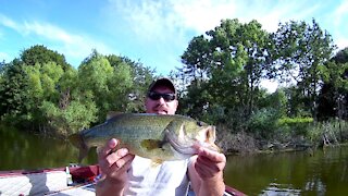 Lehigh County Largemouth Bass (Leaser Lake)