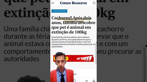 NOTICIÁRIO: "CIDADE AU-LERTA"- #shorts #humor #tiktok #comedia #trend #animals #pets #dogs #cats