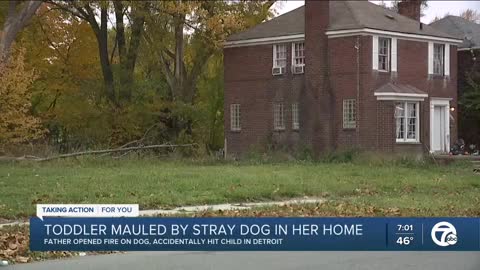 2-year-old girl bitten by dog at Detroit home, hospitalized after father shoots dog