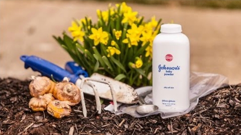 Here's Why You'll Want to Bring Baby Powder With You When You Plant Flowers in Your Garden