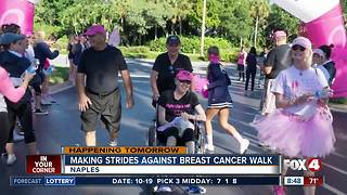 Making strides against breast cancer walk