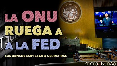 AHORA LA ONU LE RUEGA A LA RESERVA FEDERAL | MIENTRAS LOS GRANDES BANCOS EMPIEZAN A DERRETIRSE