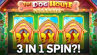 We got 3 WILDS in ONE SPIN on DOG HOUSE MEGAWAYS!