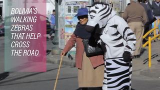 How 'zebras' are helping save lives in La Paz