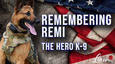 Remembering Remi the Hero K-9