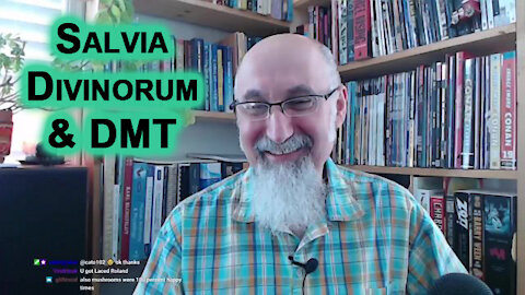 Salvia Divinorum Builds a Bridge Between DMT Realm & Matter Based Existence: You Retain Information