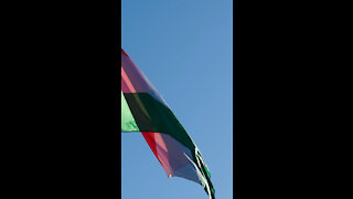 Vande Mataram Flag