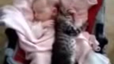 Baby and kitten enjoy precious nap time together