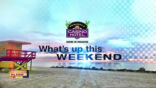 What's Up This Weekend In Southwest Florida!: The Shindigs