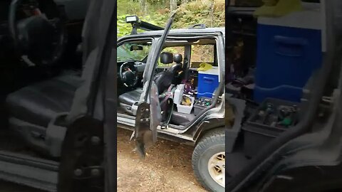 tinkering in the forest #shorts #jeep #camping #diy