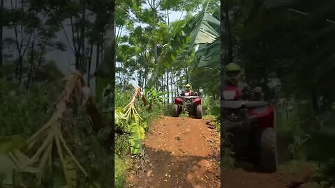 Dirt Mania Quad biking #adventure #quadbike