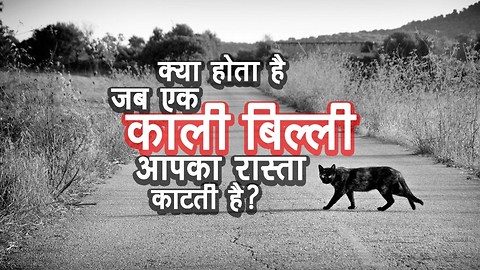 क्या होता है जब एक काली बिल्ली आपका रास्ता काटती है ? | अर्था | आध्यात्मिक विचार