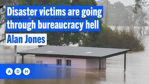 Disaster victims are going through bureaucracy hell: Lismore MP Janelle Saffin | Alan Jones