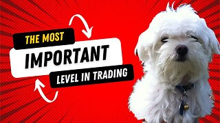 The One Level In Trading You Must Know