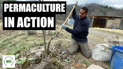 Permaculture 101: Fertility Goes on TOP