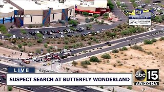 Suspect search at Butterfly Wonderland