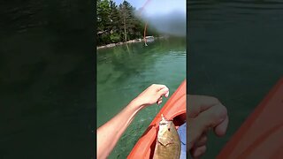 I caught this bass twice