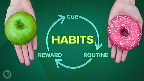 How Habits are Formed