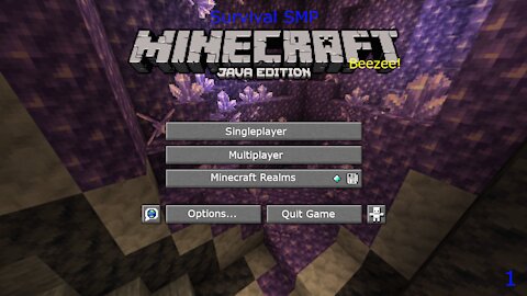 Minecraft survival SMP part1