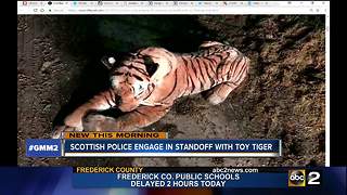 Police end standoff with toy tiger