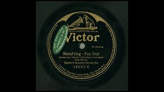 Wond'ring - Selvin's Novelty Orchestra