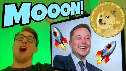 Dogecoin PUMPING As Elon Musk Gets Ready For BIG Announcement 🚀