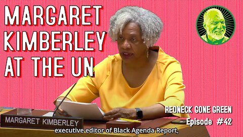 Margaret Kimberley: Presentation on Ukraine at the UN Security Council