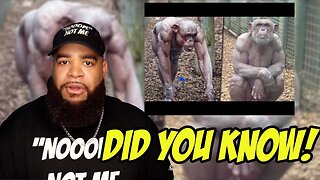 15 Things That You Will See for the First Time in Your Life! Artofkickz Reacts