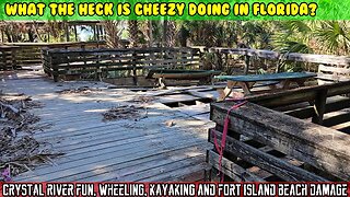 Crystal River Wheeling jeep, Kayaking with manatees dolphins alligators, fort island beach damage