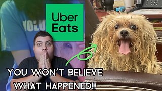 UberEats Driver EXPOSED Dog Owner and Saves 93 Dogs!