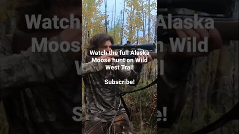 🥩🥩Alaska Moose Hunt 🔫🔫 full video now live!!