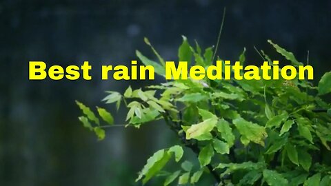 the Best Rain Meditation for Relaxing, Studying, Sleep