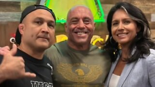 Maui Fires: Joe Rogan & Tulsi Gabbard on the Lahaina Fire | Land Grab