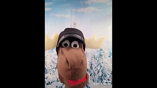 #youtube #puppetry#northbound #snowden #fyp #viral#mailtime #monday