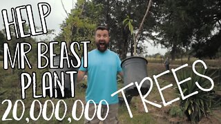 Help Mr BEAST, Mark Rober and Smarter Everyday PLANT 20,000,000 TREES!!!