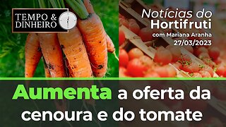 Aumenta a oferta da cenoura e do tomate!